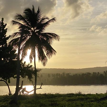 Yes Papa! Rooms Only 100M From The Beach! Las Galeras Esterno foto