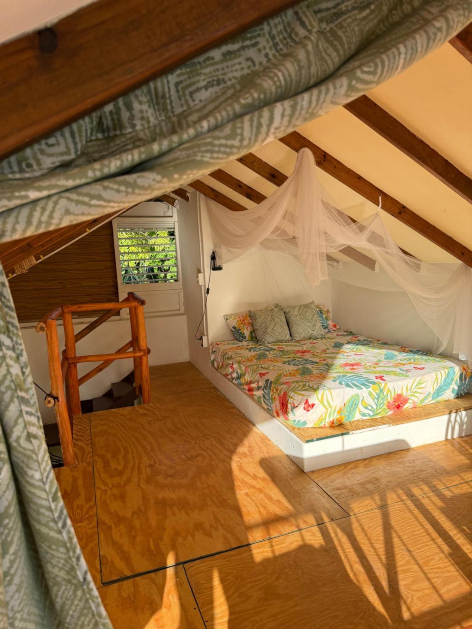 Yes Papa! Rooms Only 100M From The Beach! Las Galeras Esterno foto