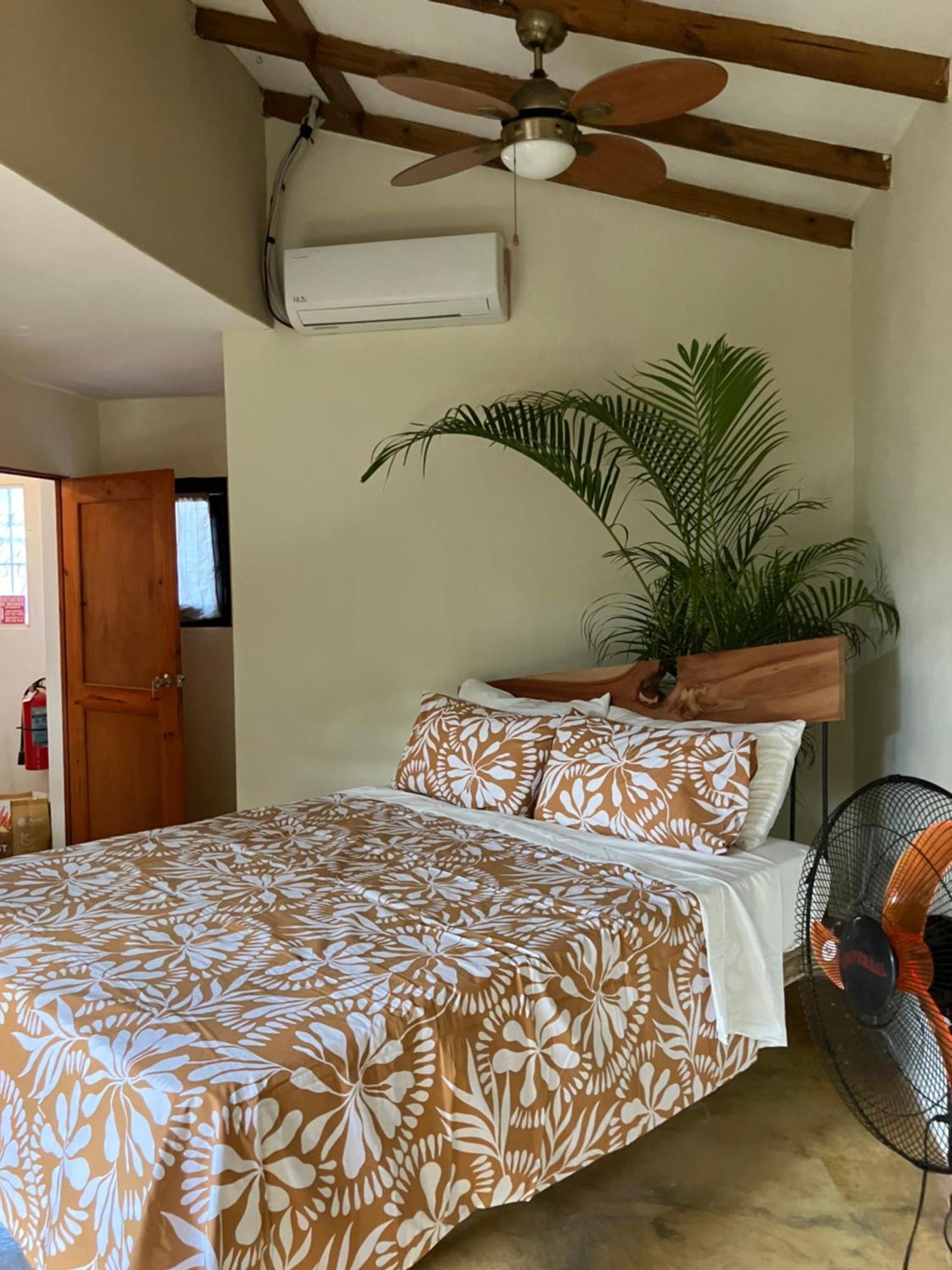 Yes Papa! Rooms Only 100M From The Beach! Las Galeras Esterno foto